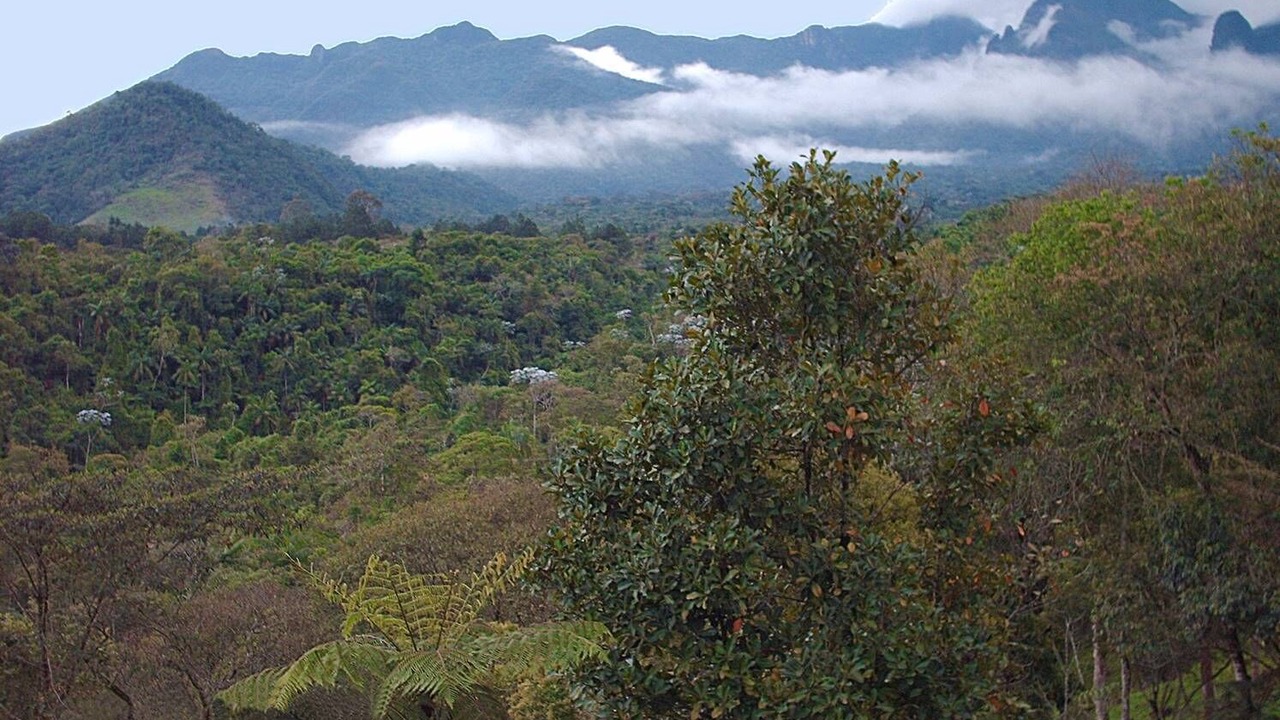 Photo of Outdoor in Penedo