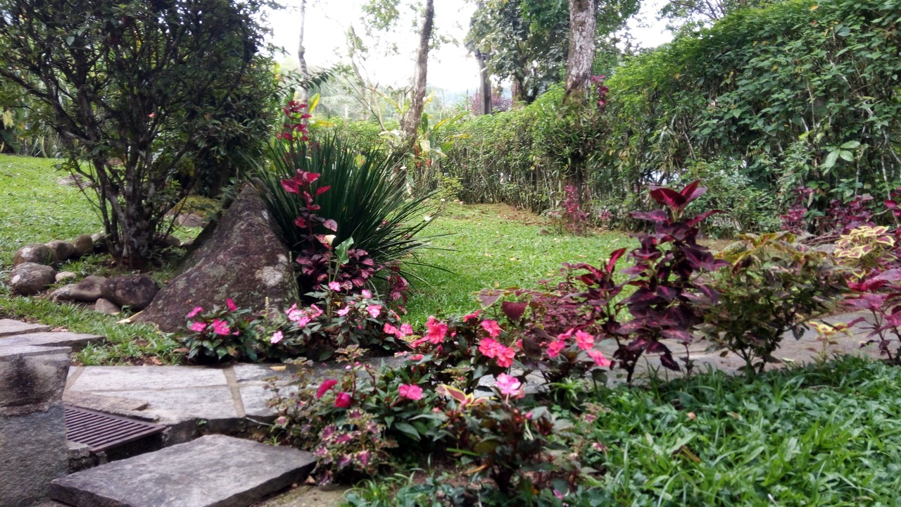 Photo of Outdoor in Penedo