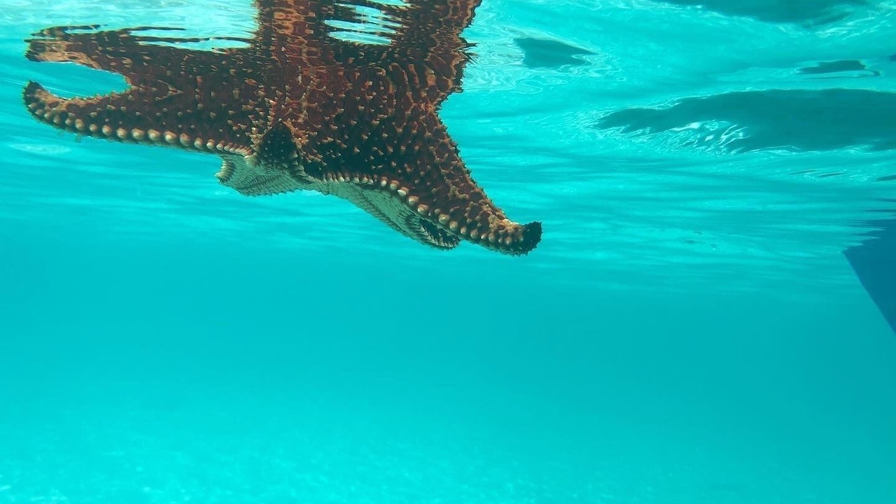 Photo of Outdoor in Exuma
