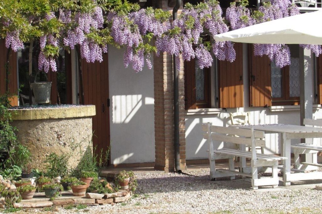 Photo of Outdoor in Volta Mantovana