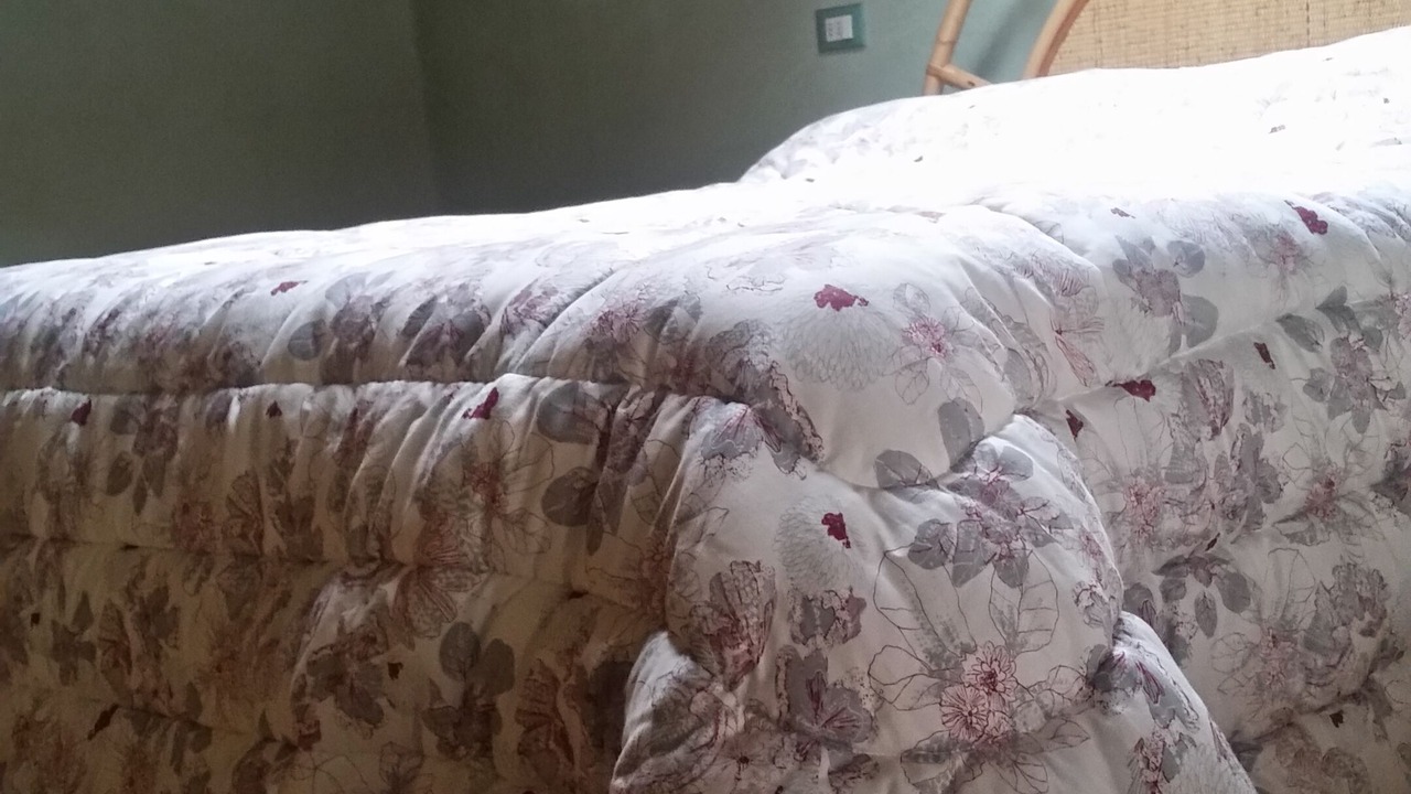 Photo of Bedroom in Santorso