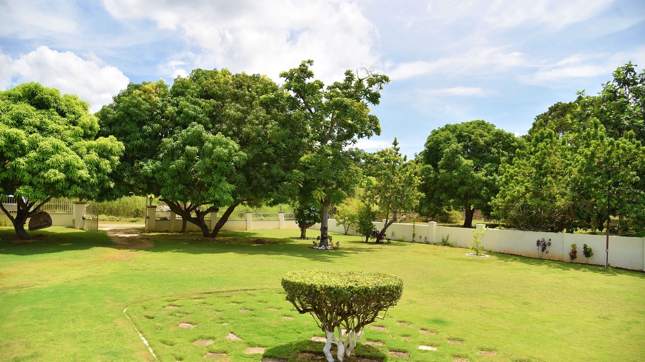 Photo of Outdoor in Whitehouse