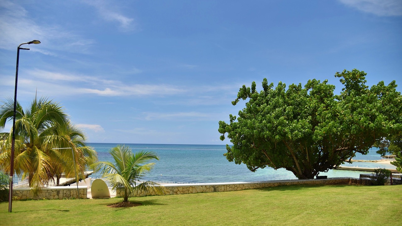 Photo of Outdoor in Whitehouse