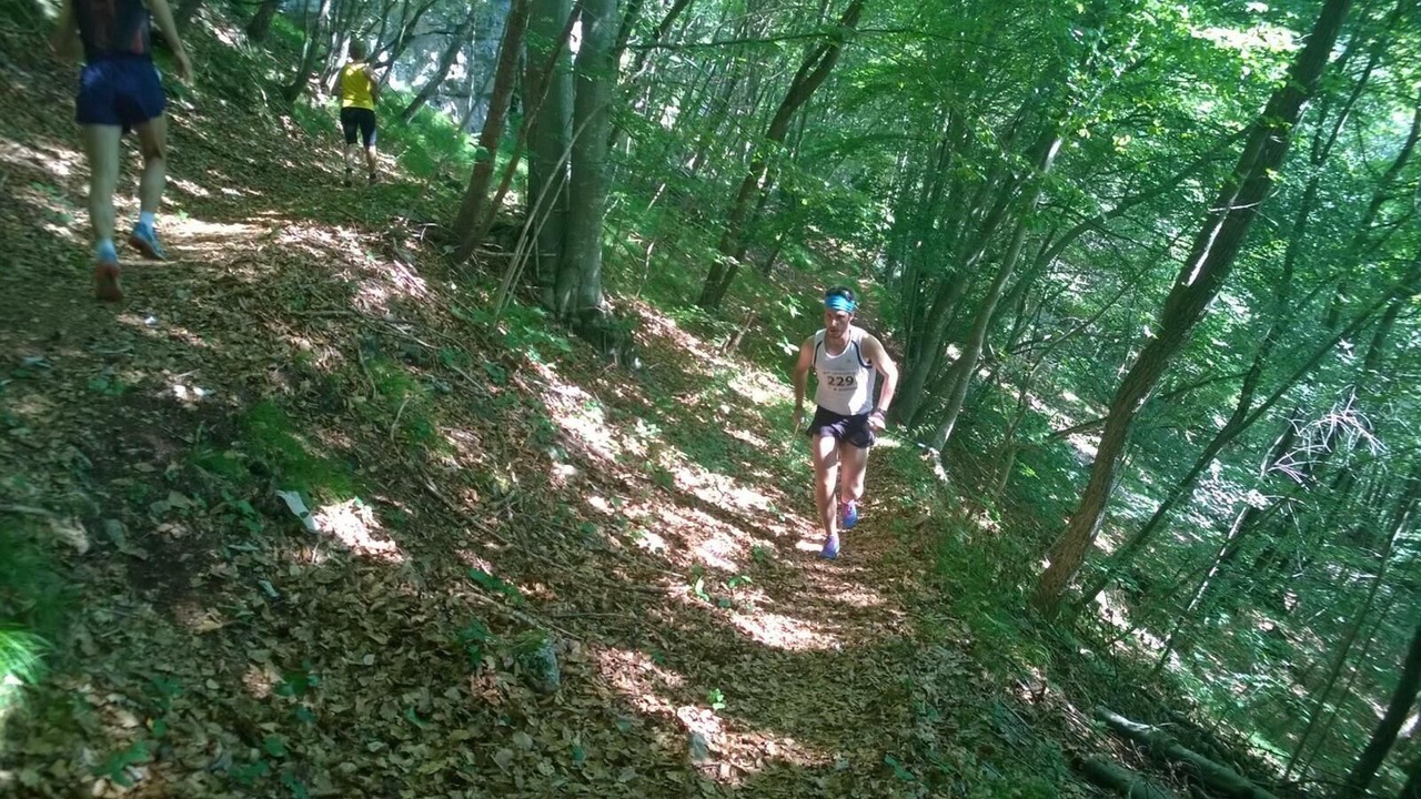 Photo of Outdoor in Longarone