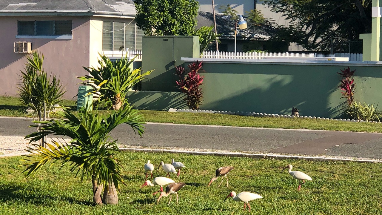 Photo of Outdoor in Westward Villas Subdivision