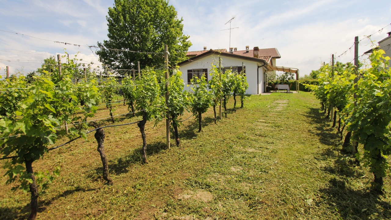 Photo of Outdoor in San Benedetto di Lugana