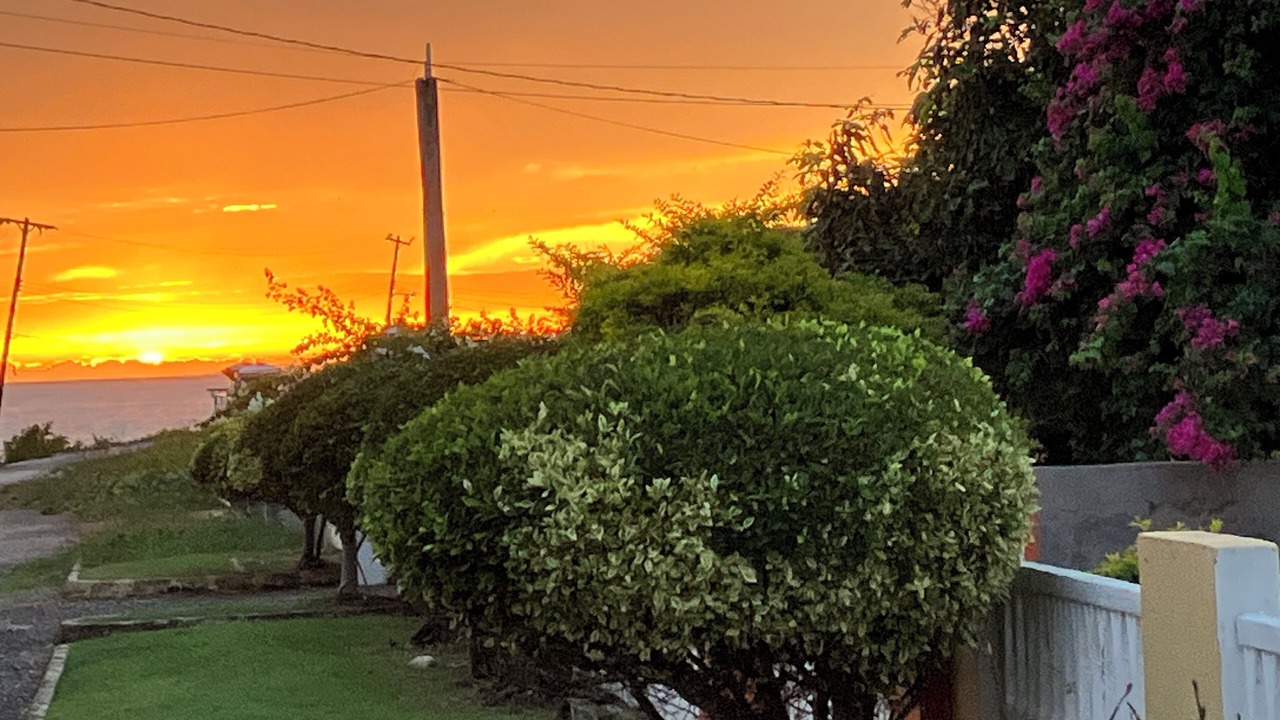 Photo of Outdoor in Whitehouse