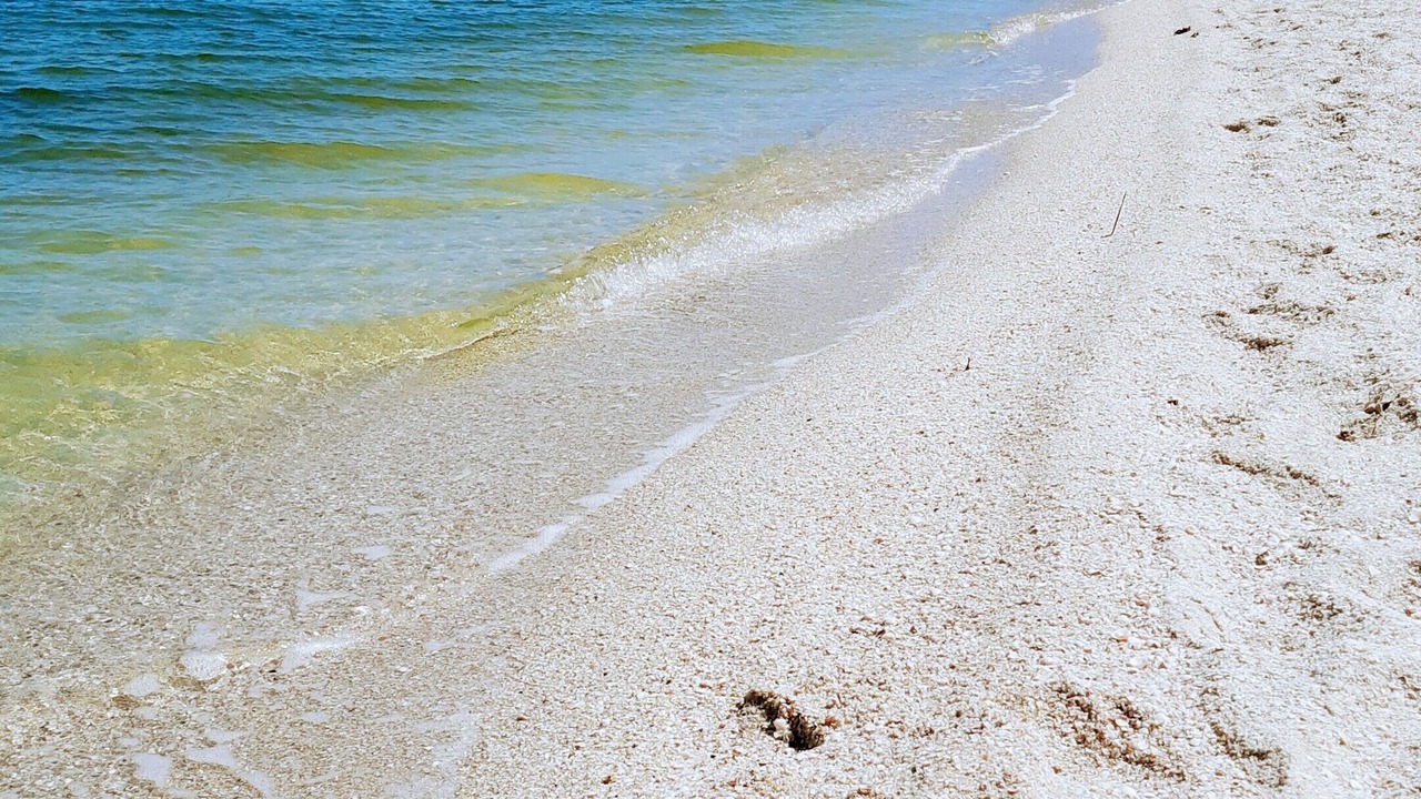 Photo of Others in Sao Pedro da Aldeia