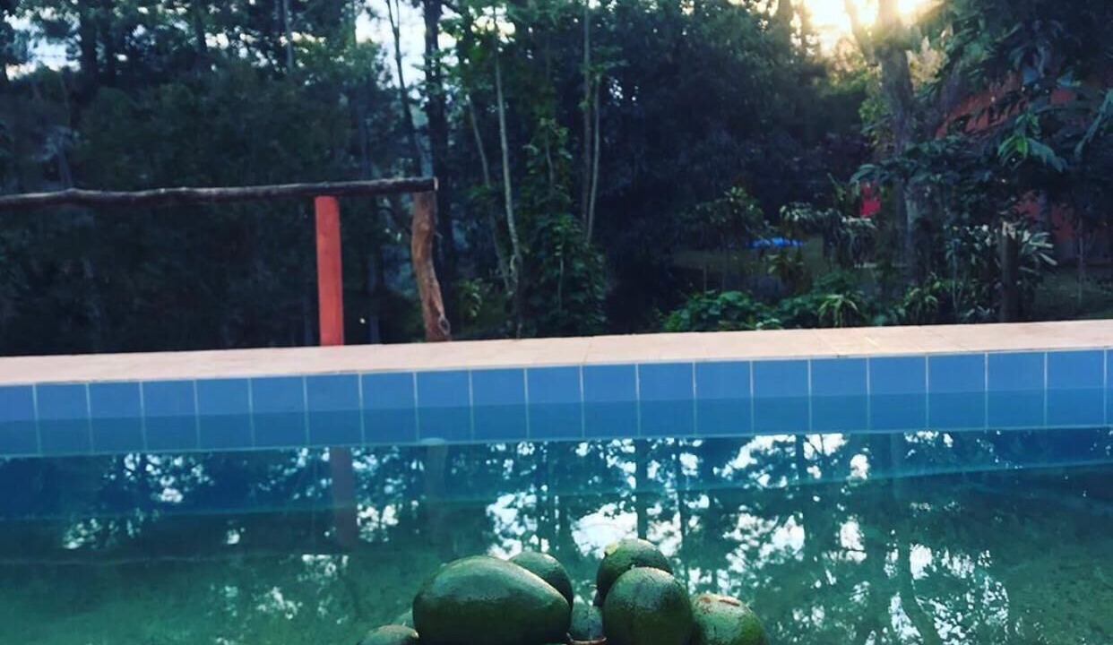 Photo of Outdoor in Itaipava