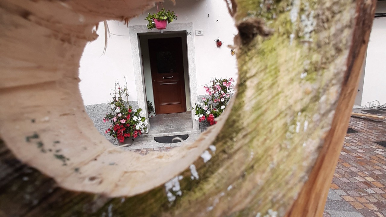 Photo of Outdoor in Longarone