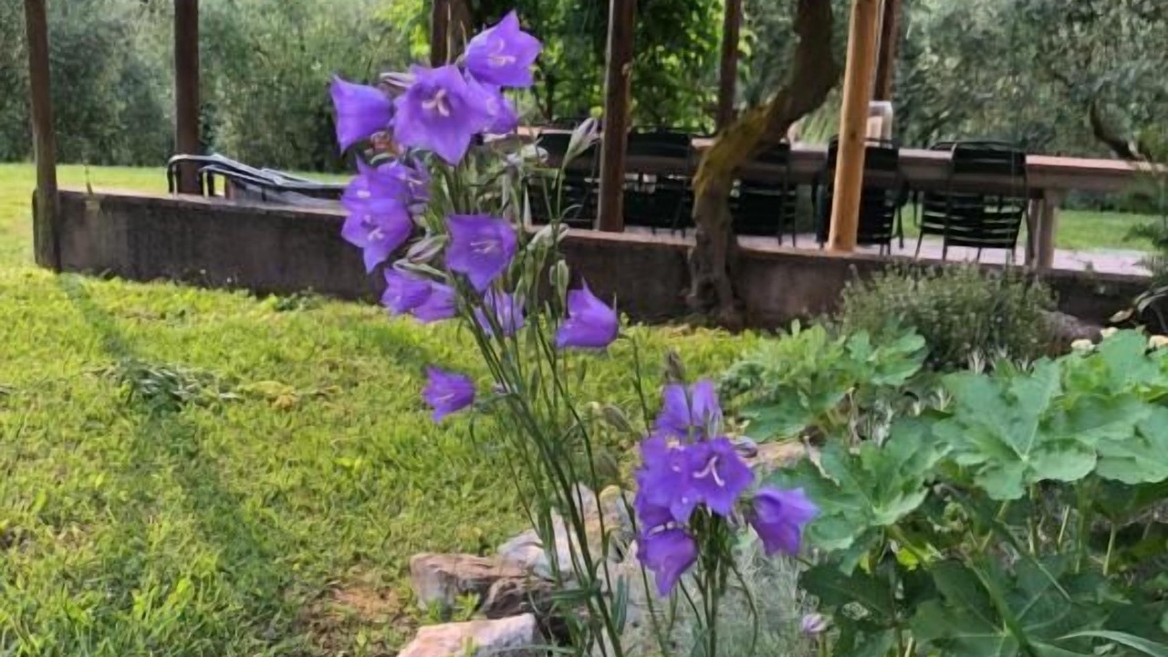 Photo of Outdoor in Teolo