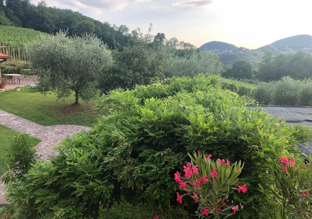 Photo of Outdoor in Teolo