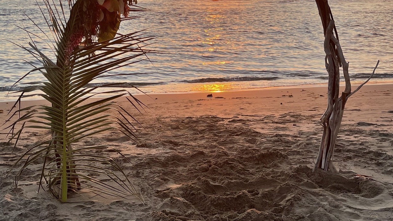 Photo of Others in Treasure Beach