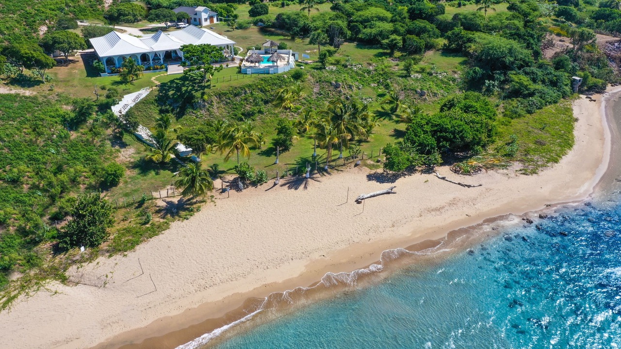 Photo of Others in Treasure Beach