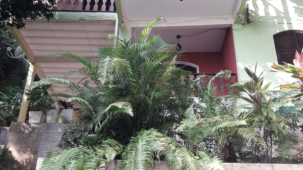 Photo of Outdoor in Mangaratiba