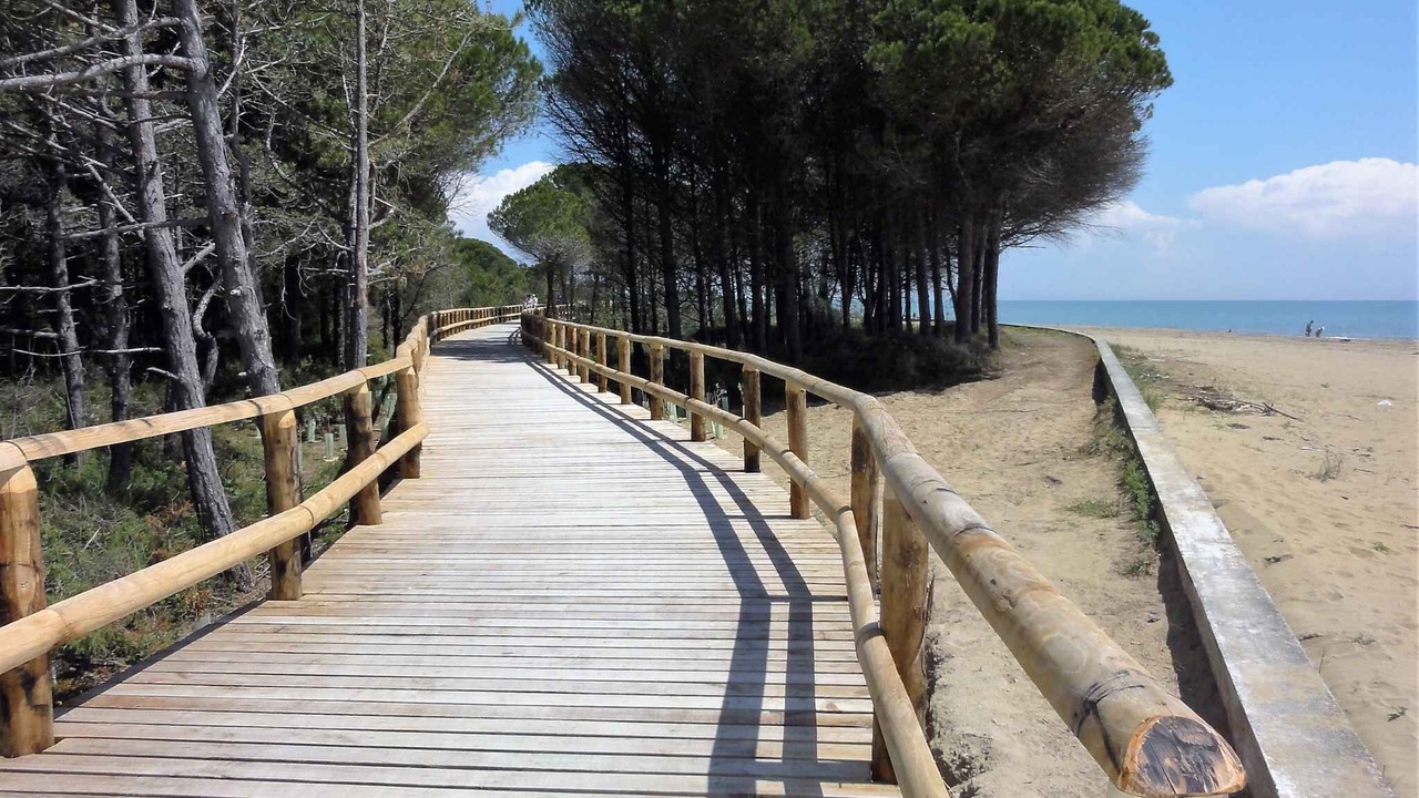 Photo of Others in Bibione