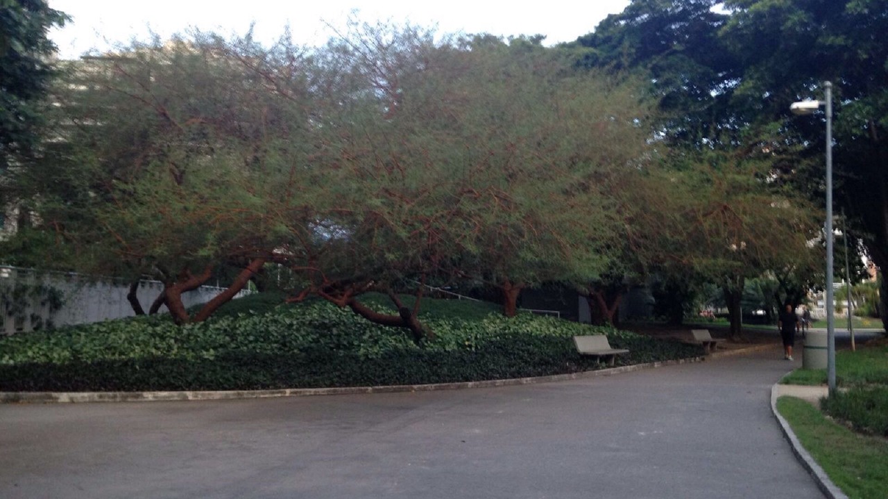 Photo of Outdoor in Jacarepagua