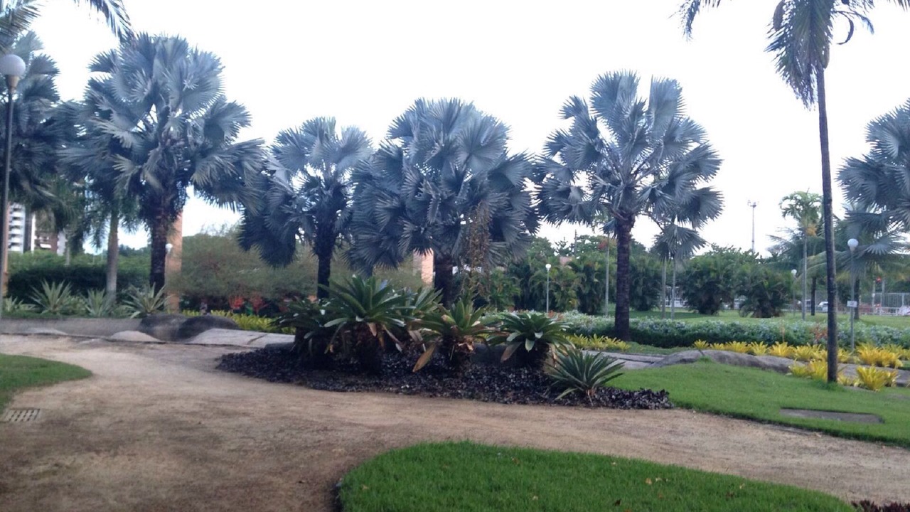 Photo of Outdoor in Jacarepagua