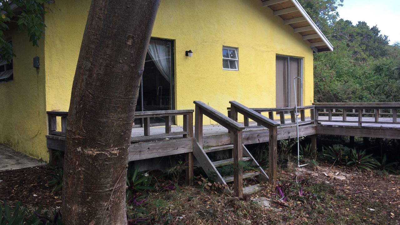 Photo of Outdoor in South Palmetto Point