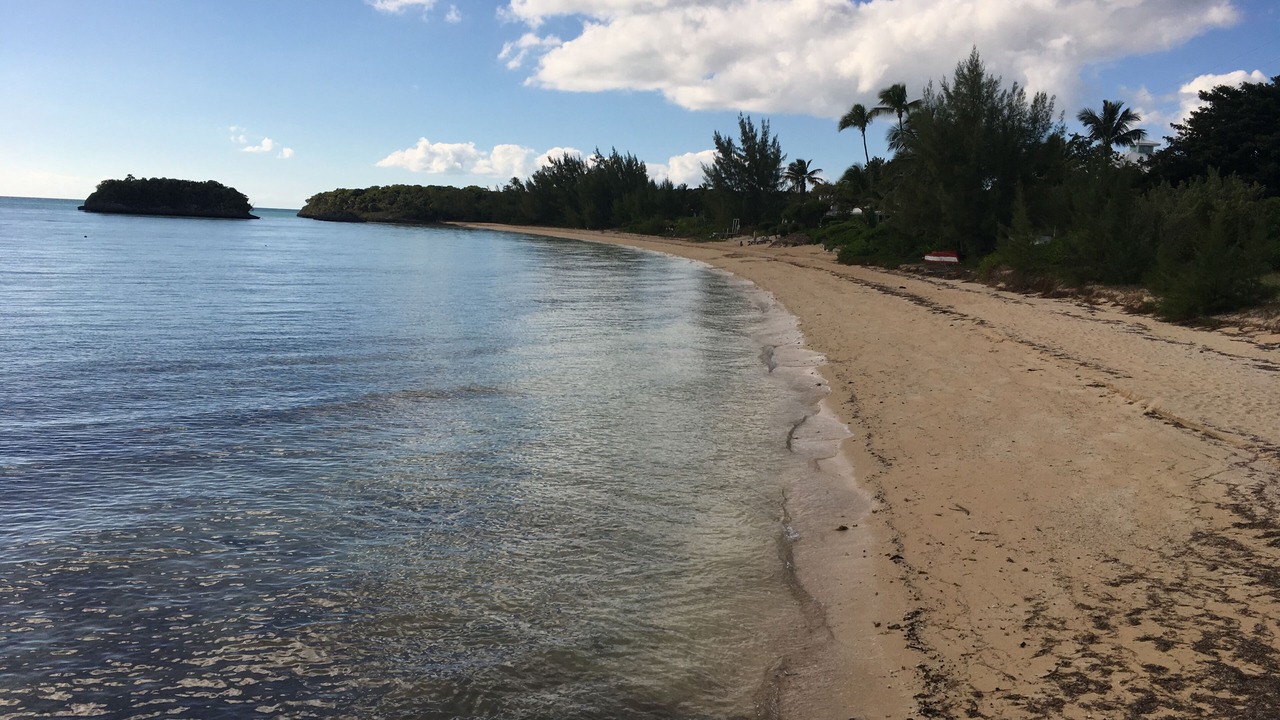 Photo of Others in South Palmetto Point