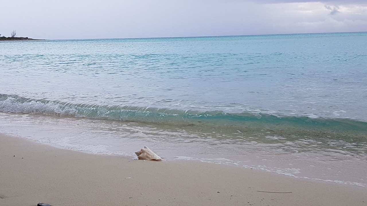 Photo of Others in Governor's Harbour