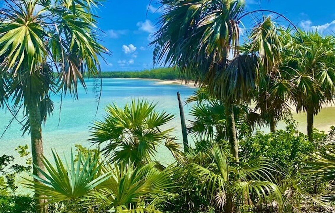 Photo of Others in South Palmetto Point
