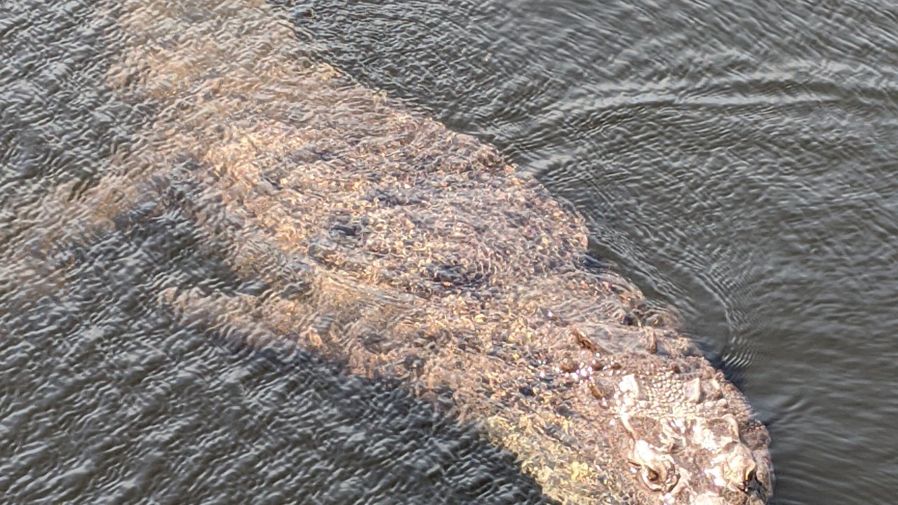 Photo of Others in Santa Cruz