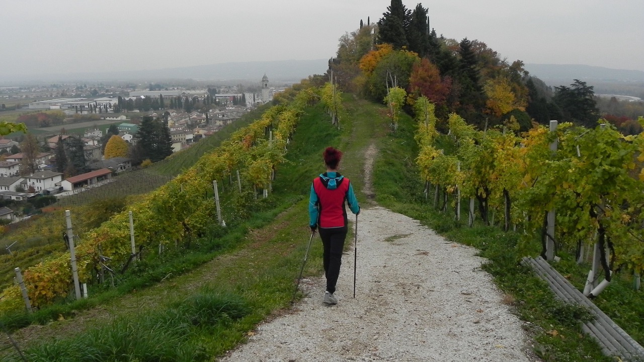 Photo of Others in Col San Martino