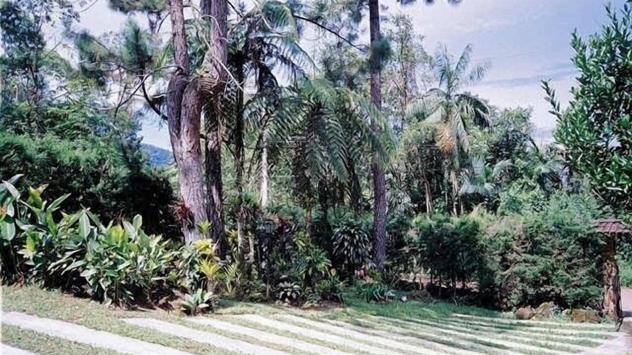 Photo of Outdoor in Resende