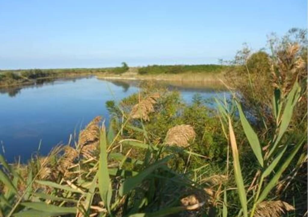 Photo of Outdoor in Rosapineta