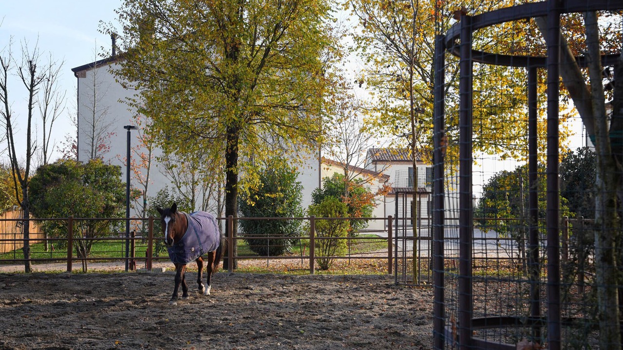 Photo of Others in Rovigo