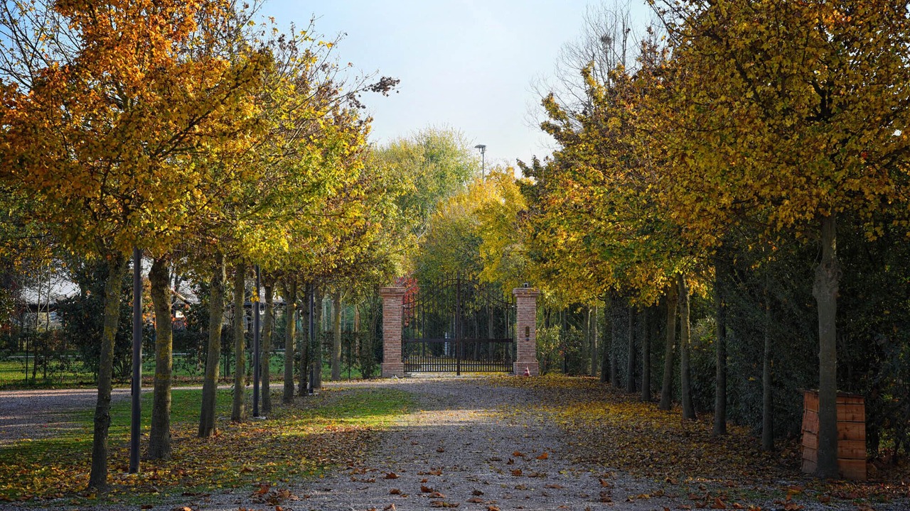 Photo of Outdoor in Rovigo