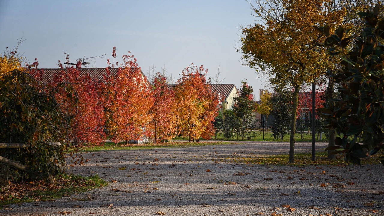 Photo of Outdoor in Rovigo