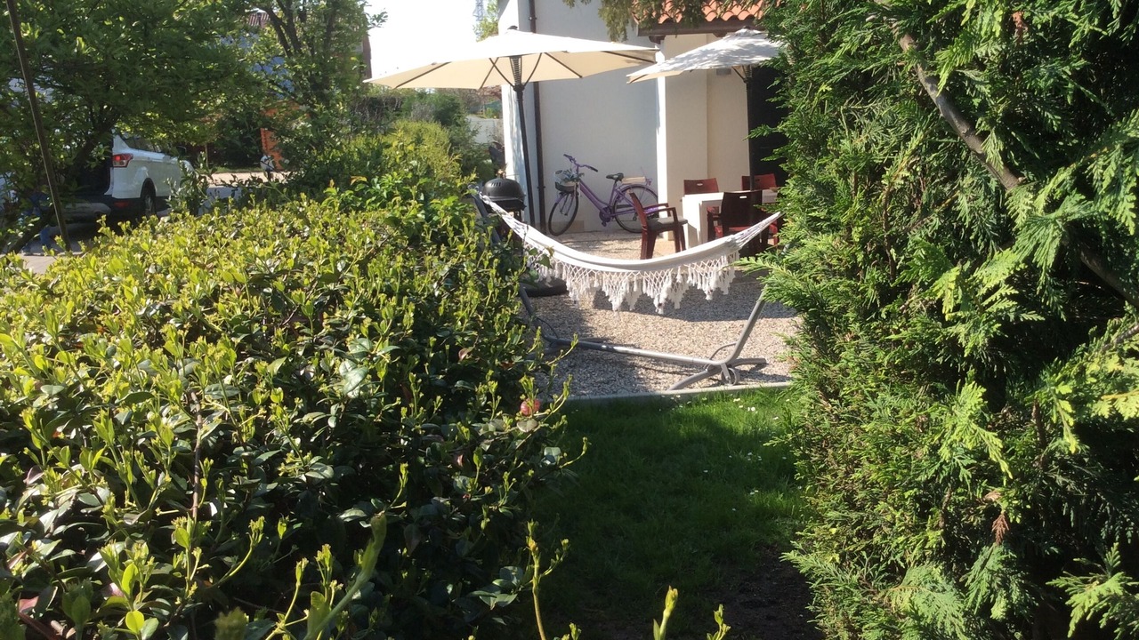 Photo of Outdoor in Olmo di Mira