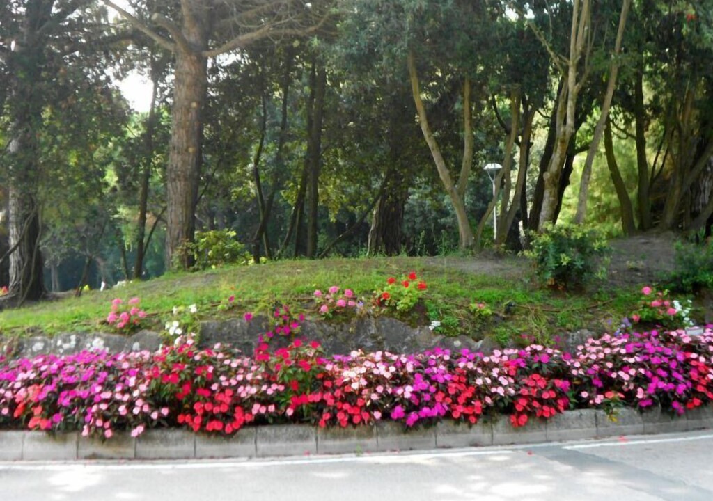 Photo of Others in Rosapineta