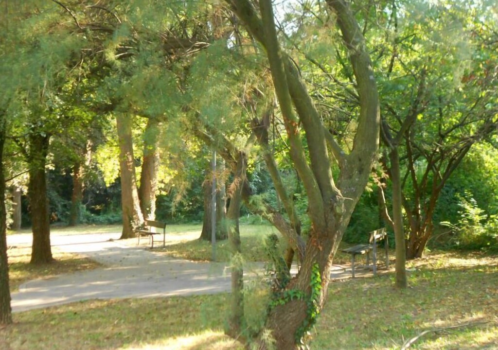 Photo of Outdoor in Rosapineta