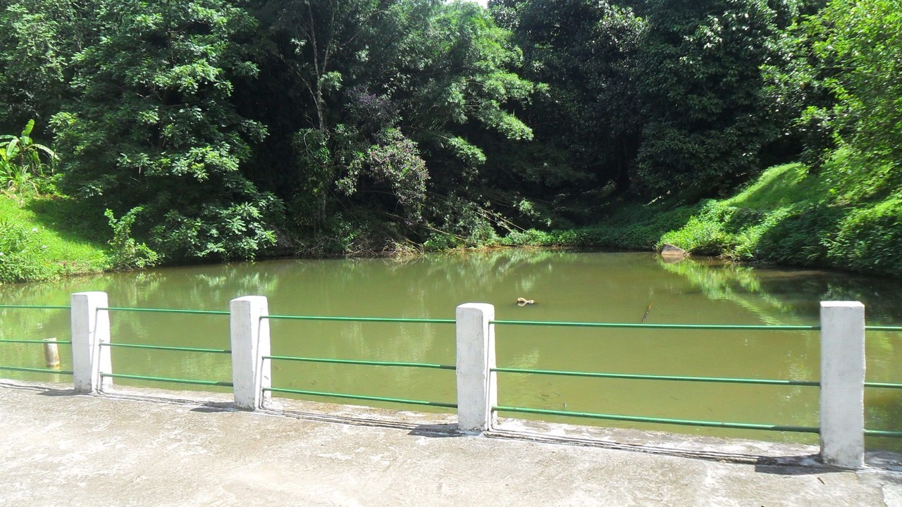 Photo of Outdoor in Barreira