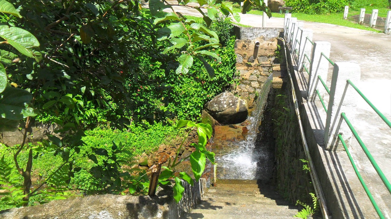 Photo of Outdoor in Barreira
