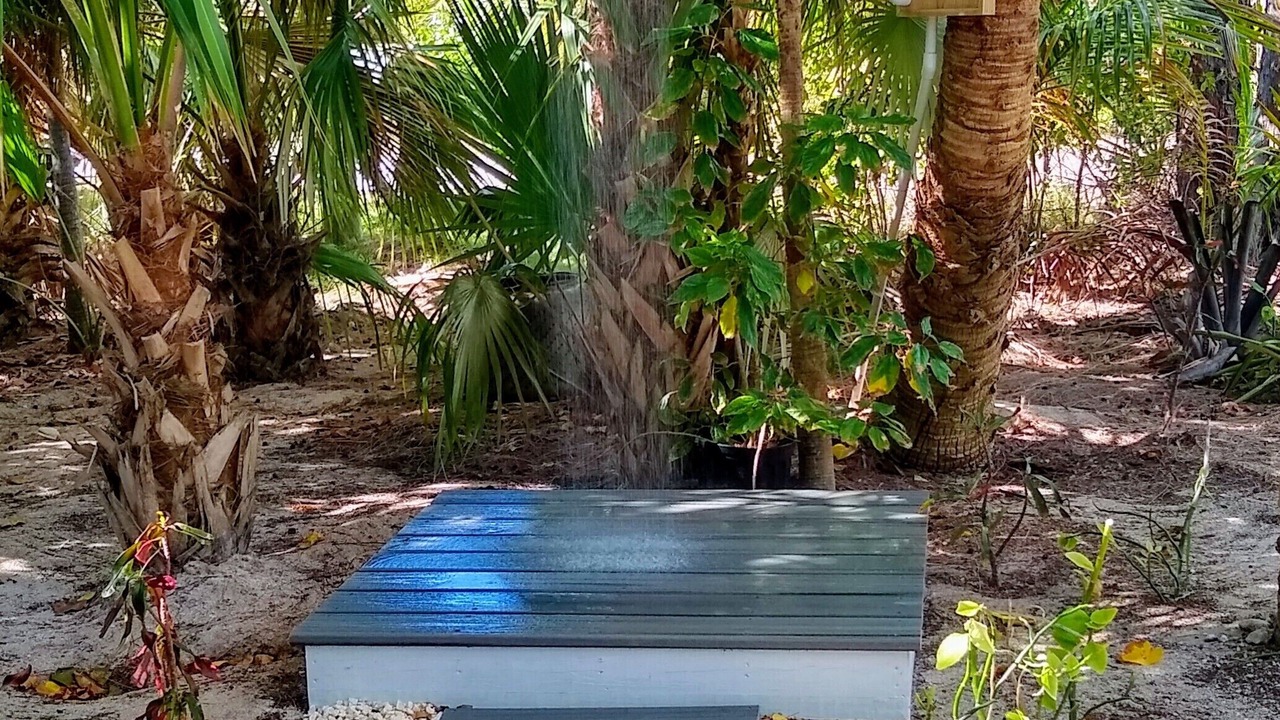 Photo of Others in Gregory Town