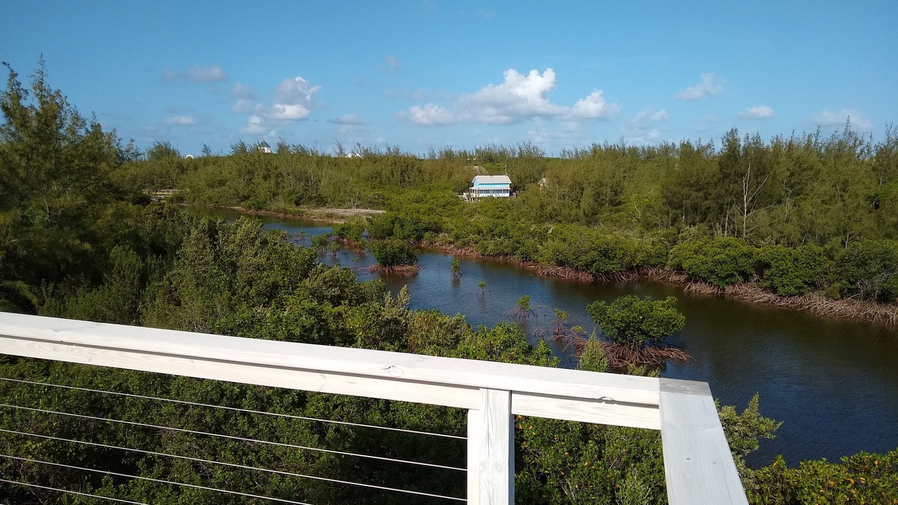 Photo of Others in Gregory Town