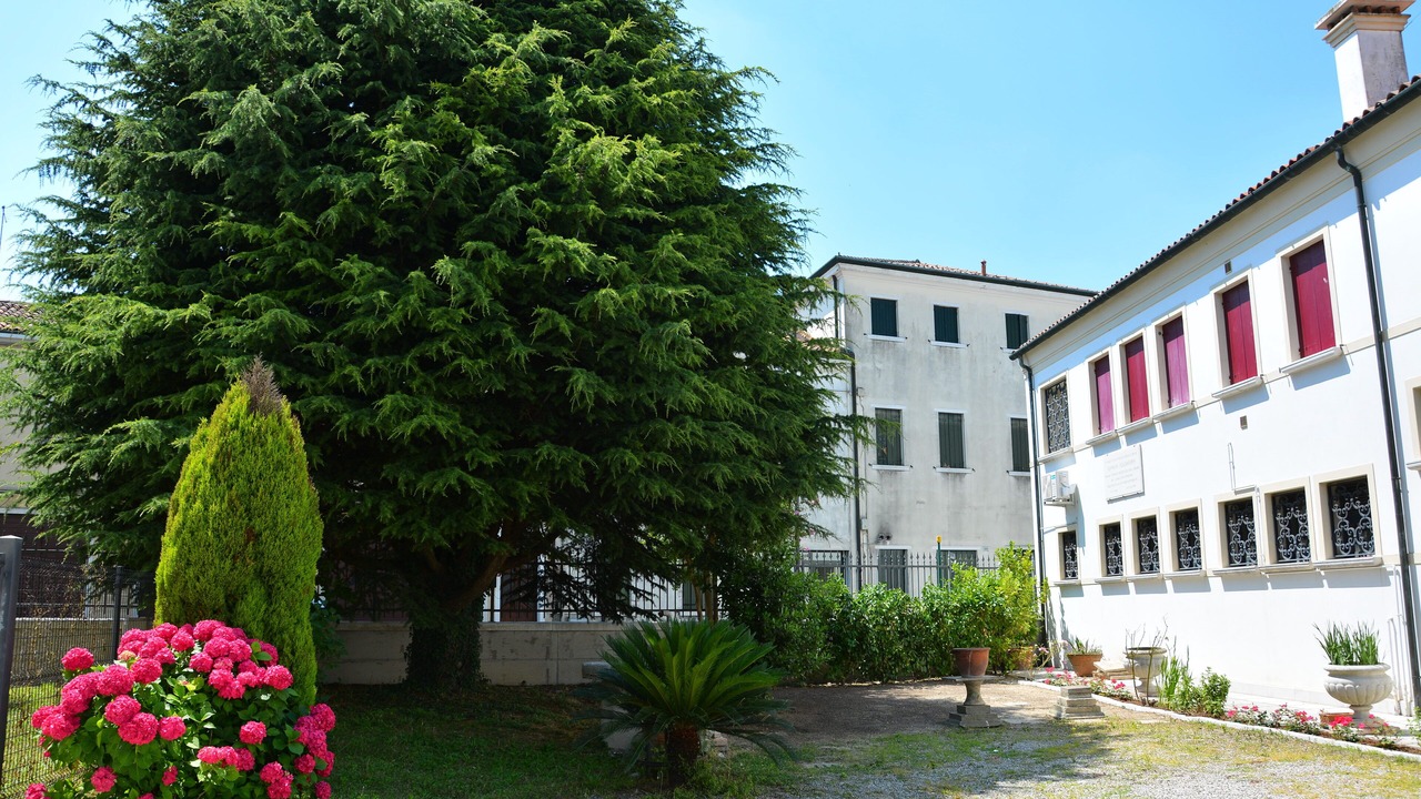 Photo of Outdoor in Olmo di Mira