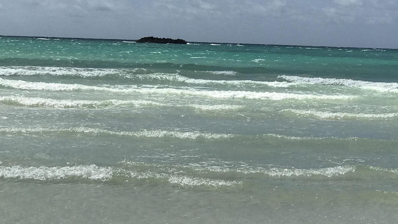 Photo of Others in Bahama Reef