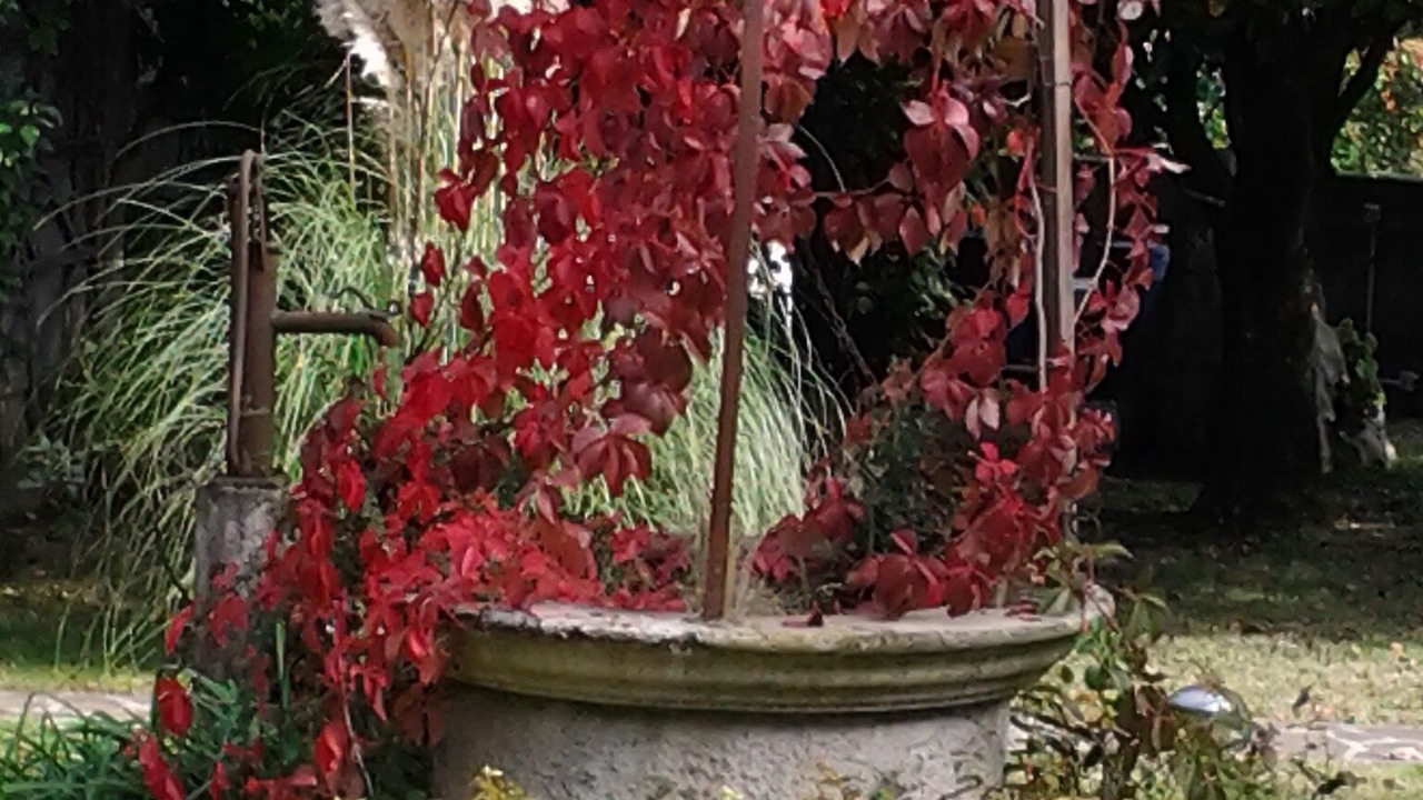 Photo of Outdoor in Noventa di Piave