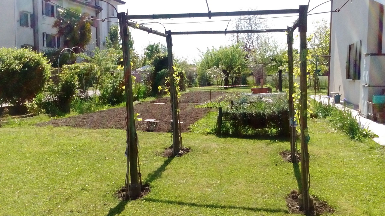 Photo of Outdoor in Noventa di Piave