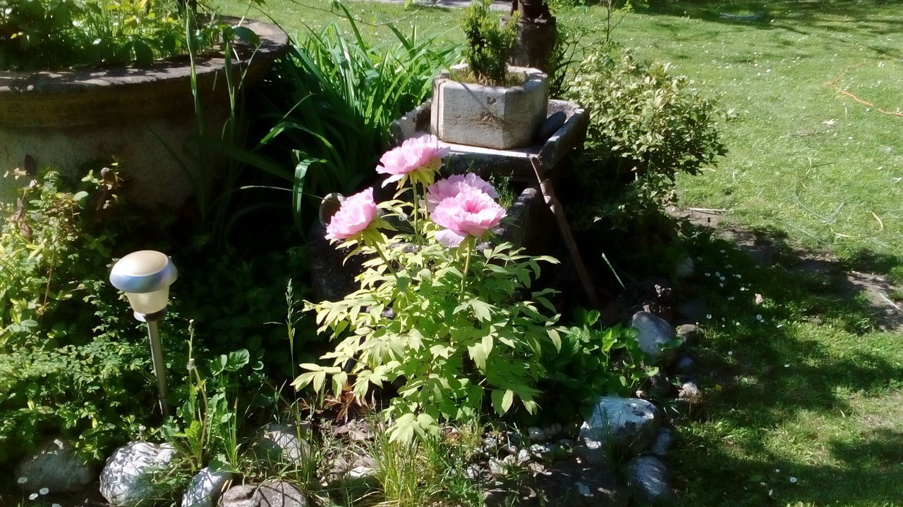Photo of Outdoor in Noventa di Piave