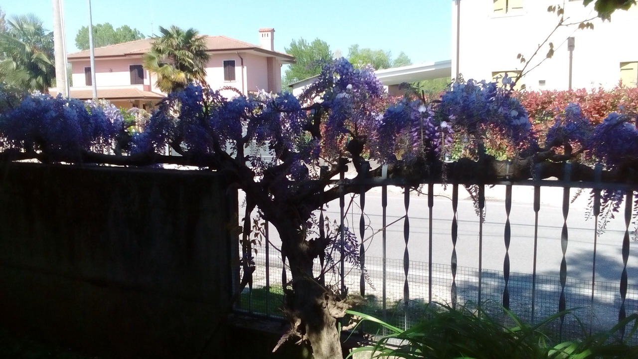 Photo of Outdoor in Noventa di Piave