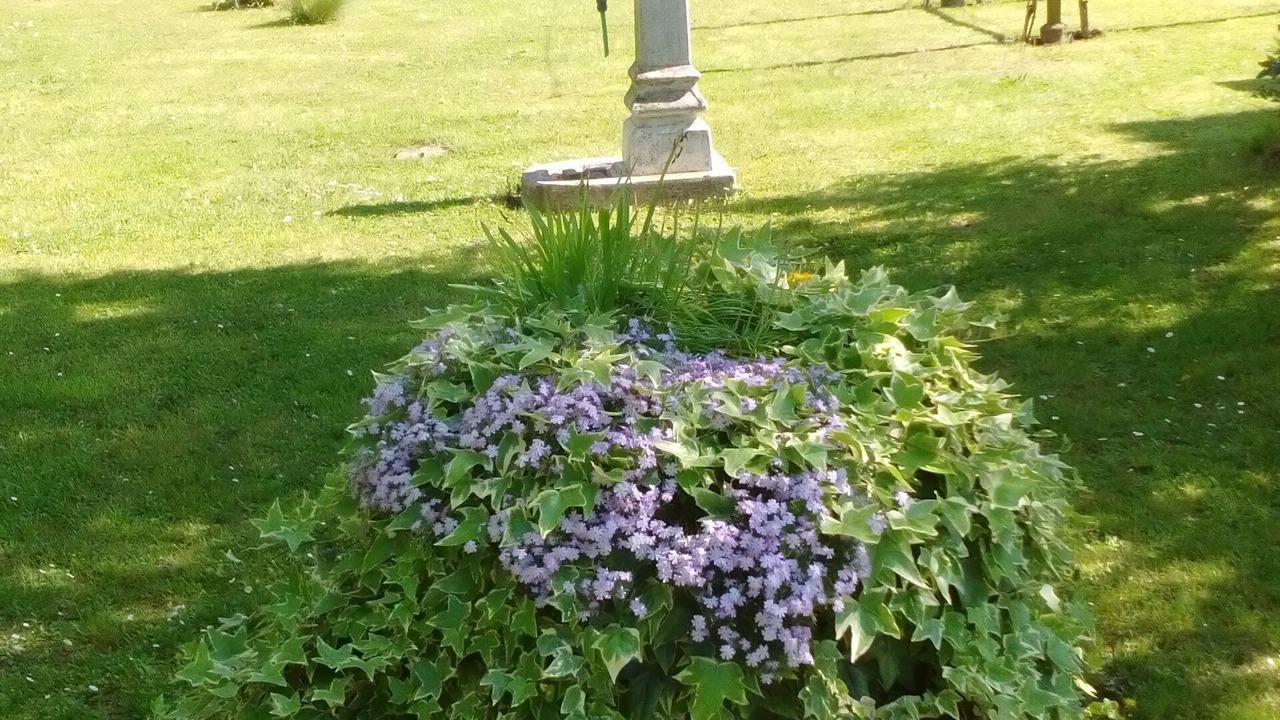 Photo of Outdoor in Noventa di Piave
