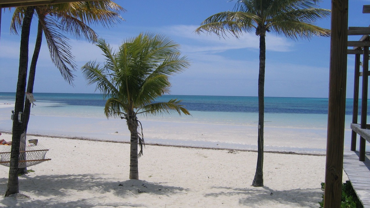 Photo of Others in Freeport