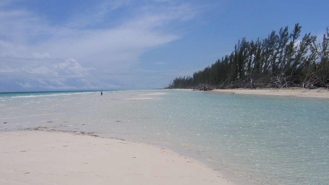 Photo of Others in Freeport
