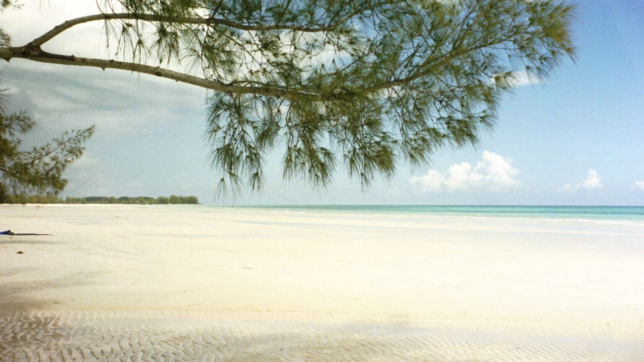 Photo of Others in Freeport